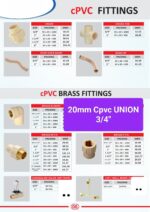 20mm Union Cpvc 3/4" Pack of 50 - Image 2